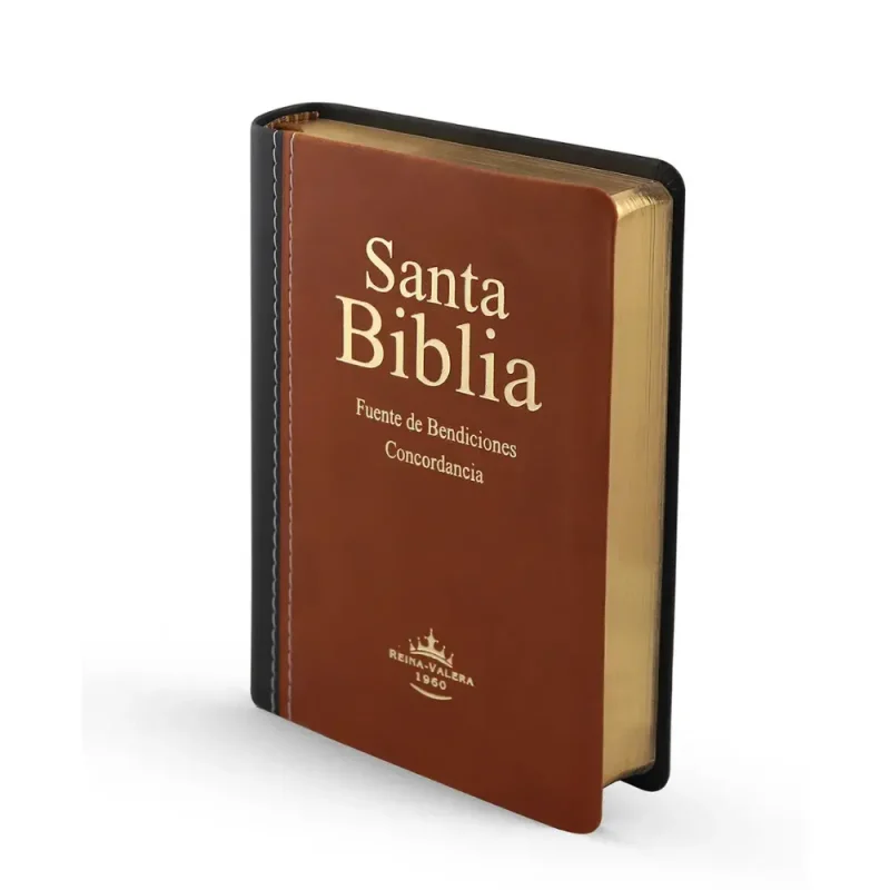 Biblia Fuente de Bendiciones RVR - Marrón