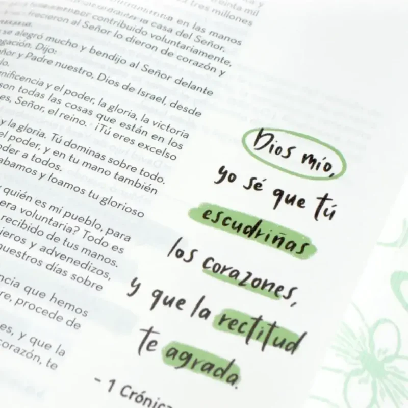 Bibliarte RVC – Rosa – interior