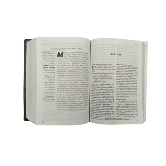 Biblia NTV compacta - Diseño madera - Imagen 3
