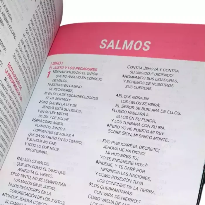 Biblia RVR Letra grande Mayúscula - Imagen 2