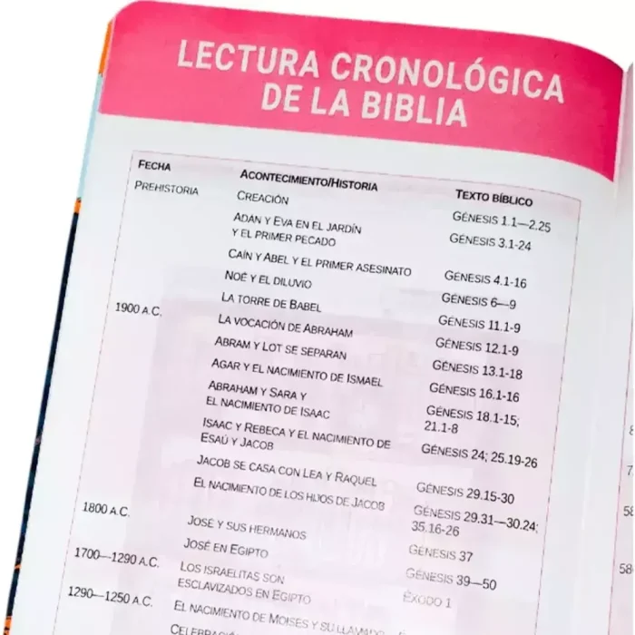 Biblia RVR Letra grande Mayúscula - Imagen 3