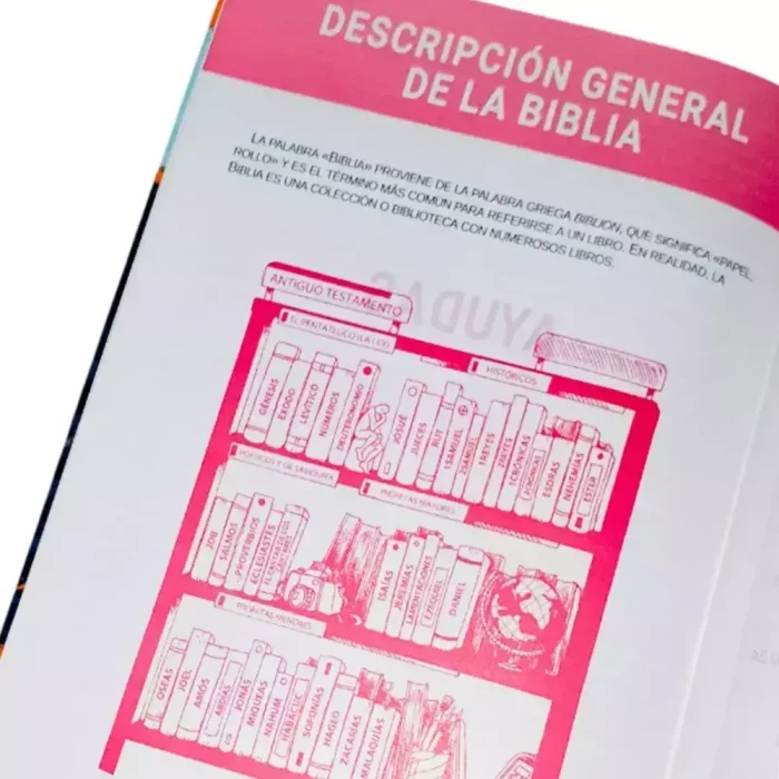 Biblia RVR Letra grande Mayúscula - Imagen 4