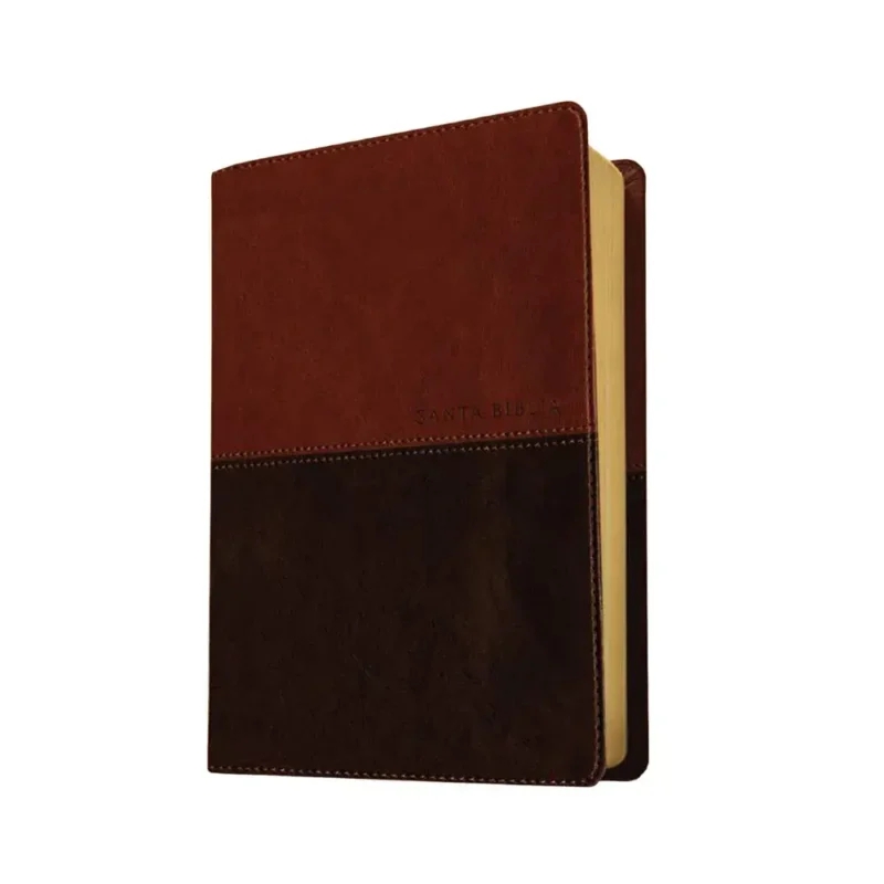Biblia NTV Letra grande - Diseño Café claro