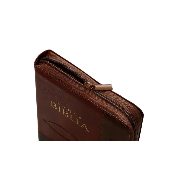 Biblia RVR letra grande - Café - Imagen 2