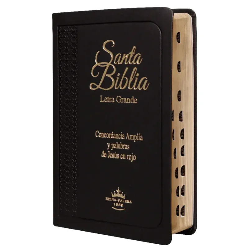 Biblia RVR letra grande - Negra