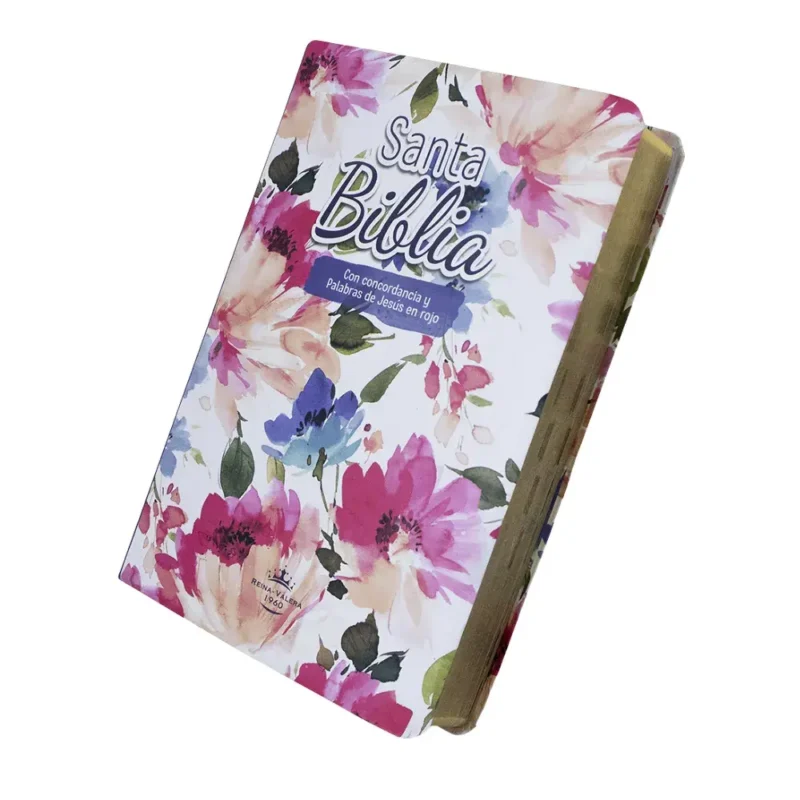 Biblia RVR letra grande - Primaveral