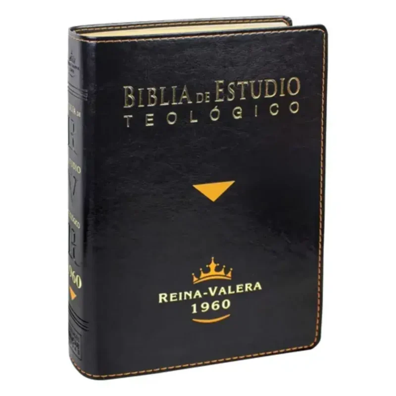 Biblia de Estudio teológico RVR - Negra