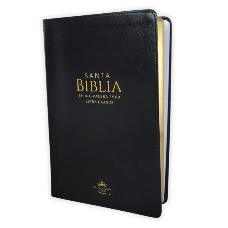 Biblia RVR 1960 Letra grande - Tapa piel negra