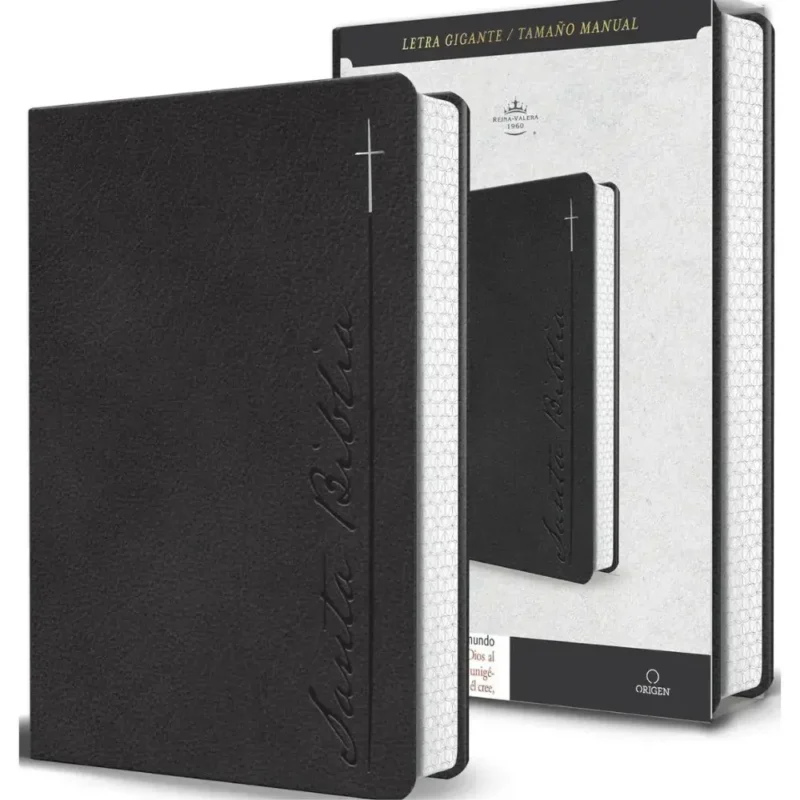 Biblia RVR 1960, Tapa gris, Letra gigante
