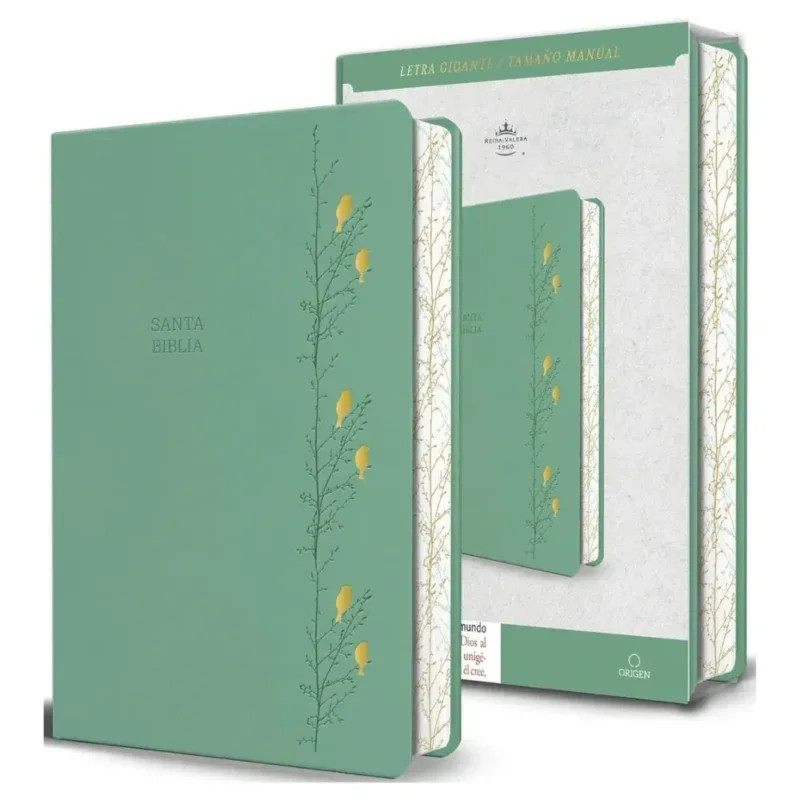 Biblia RVR 1960, Tapa verde agua con pájaros, Letra gigante